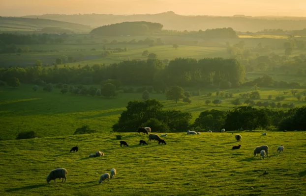 Everything You Need to Know About Rural Property Loans