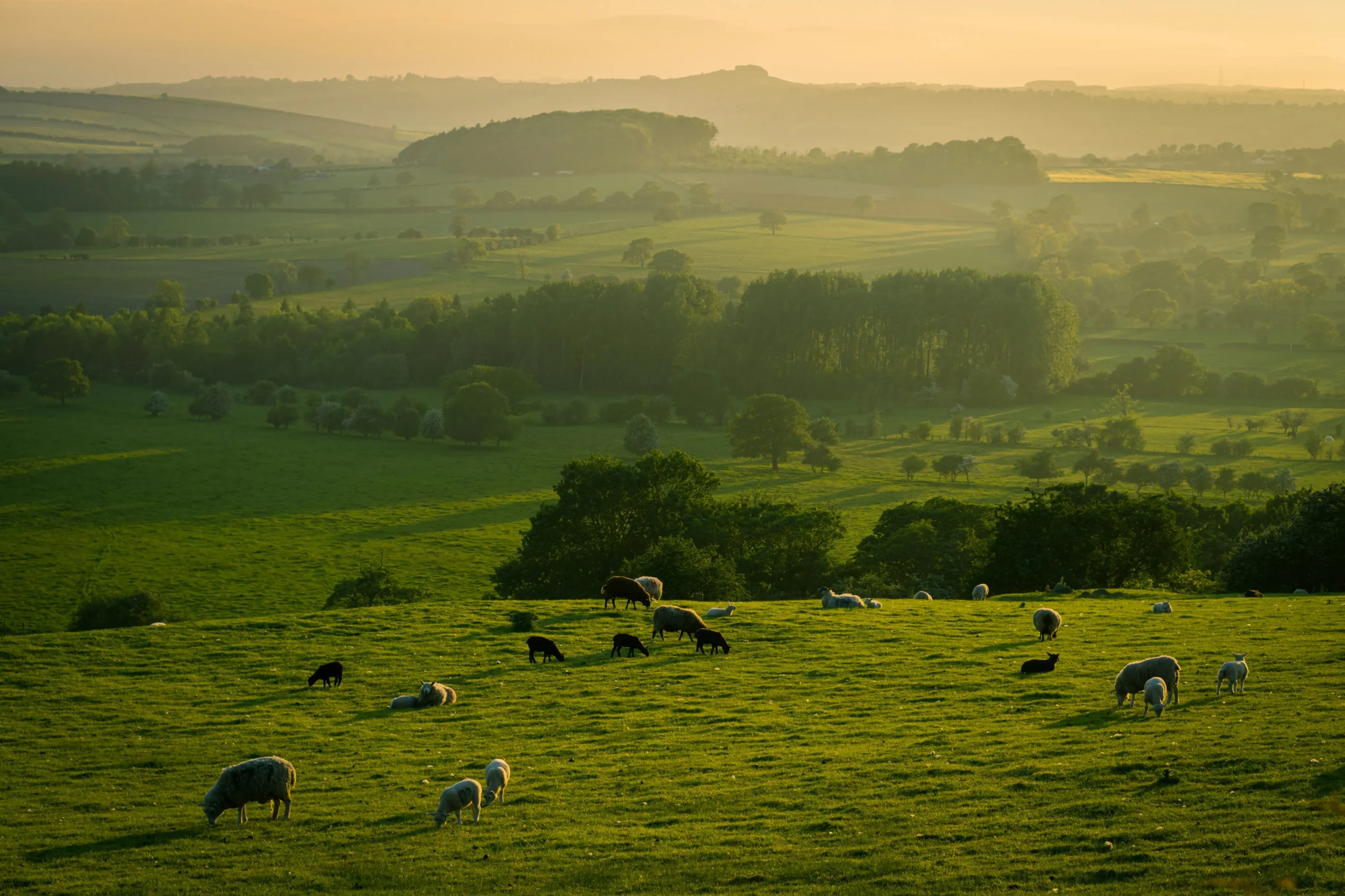 Everything You Need to Know About Rural Property Loans