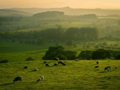 Rural Property Loans